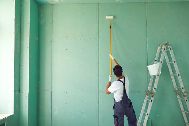 Mold Documentation for Insurance Claims in Round Lake Park, IL