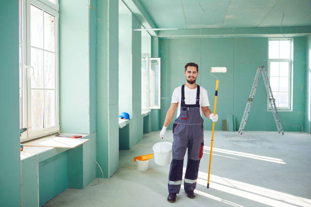 Professional Mold Removal in Round Lake Park, IL