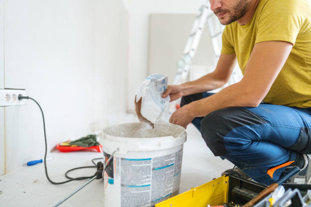Best Mold Odor Removal Services  in Round Lake Park, IL