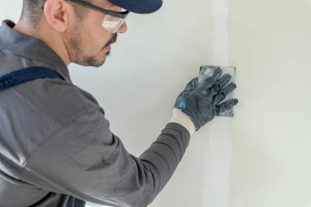 Best Biohazard Mold Removal  in Round Lake Park, IL