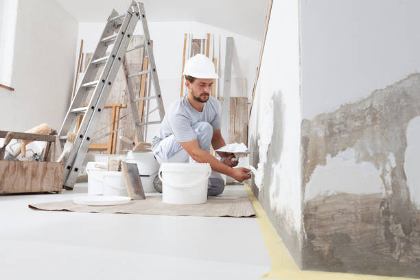 Best Mold Damage Restoration  in Round Lake Park, IL