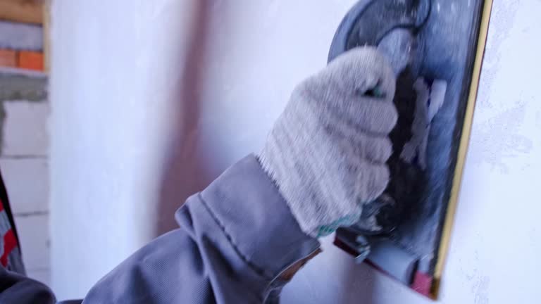 Best Mold Remediation for Healthcare Facilities  in Round Lake Park, IL