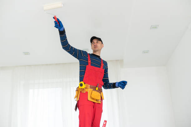 Biohazard Mold Removal in Round Lake Park, IL