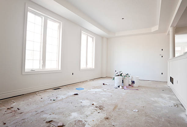 Best Mold Documentation for Insurance Claims  in Round Lake Park, IL