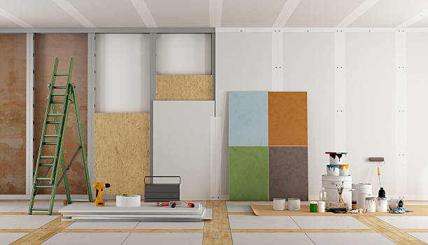 Best Residential Mold Inspection & Testing  in Round Lake Park, IL