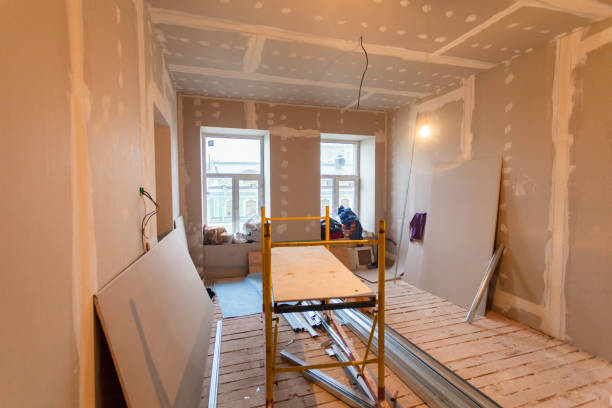  Round Lake Park, IL Mold Removal Pros